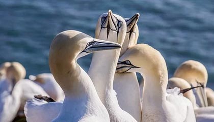 武磊：西乙对手不弱且有针对性 期待回到最佳状态