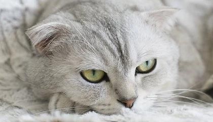 武磊：西乙对手不弱且有针对性 期待回到最佳状态