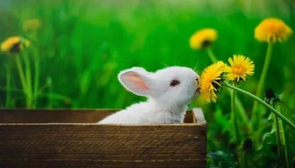 bob半岛体育官方入口-拉奥斯：若纳坦·塔放倒姆巴佩应吃红牌，裁判的决定让人难以理解